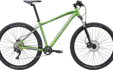 mountain bike size 19