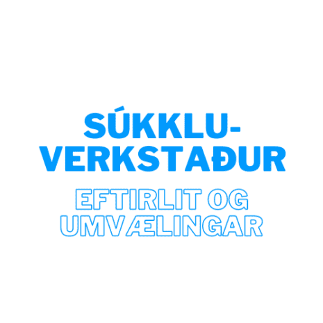 súkklu-verkstaður (4)