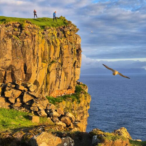 Hike the Clifftop  on Sandoy (Gleðin) - 4 km / 2,5 miles - Fridays