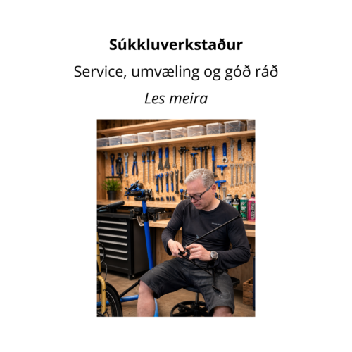 SÚKKLUVERKSTAÐUR